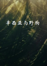 辛西娅攻略
